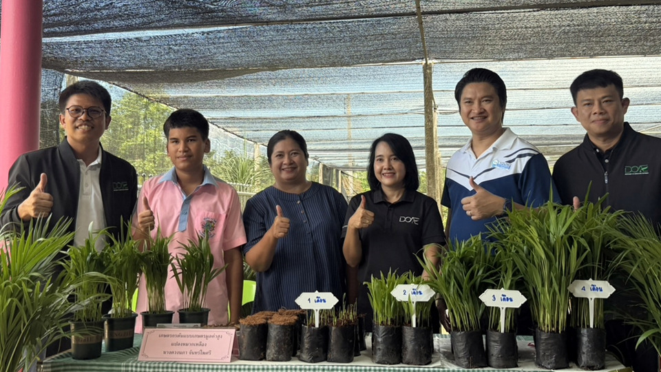 ปทุมธานีดัน “หมากเหลือง” พืชมูลค่าสูง ถ่ายทอดเทคโนโลยีเกษตร สร้างรายได้ยั่งยืน