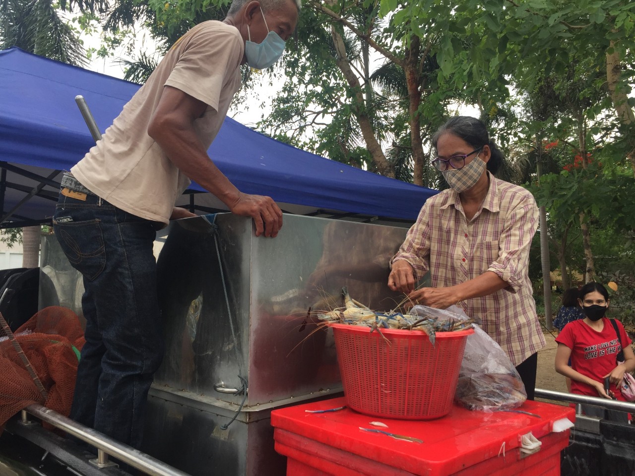 อ่างทองเปิดพื้นที่ให้เกษตรกรนำกุ้งจากบางปลาม้าขายราคาถูก คนแห่ซื้อกุ้งตัวใหญ่จนไม่พอจำหน่าย