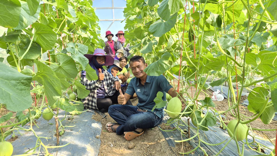 ชาวบุรีรัมย์พลิกชีวิต! ปลูกผัก-เมล่อนญี่ปุ่น สร้างรายได้มั่นคงพึ่งพาตัวเองได้จริง
