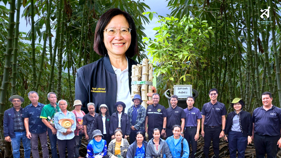 เกษตรฯ เร่งลดโรคใบด่างมันสำปะหลัง 30% ดันแปลงใหญ่พุประดู่พัฒนาสู่บริษัทเกษตรกร