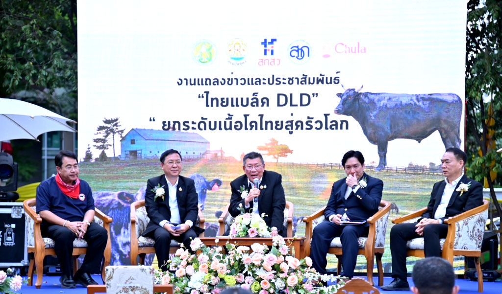 เปิดตัวแล้ว!! “ไทยแบล็ค DLD” สุดยอดโคเนื้อพรีเมียม