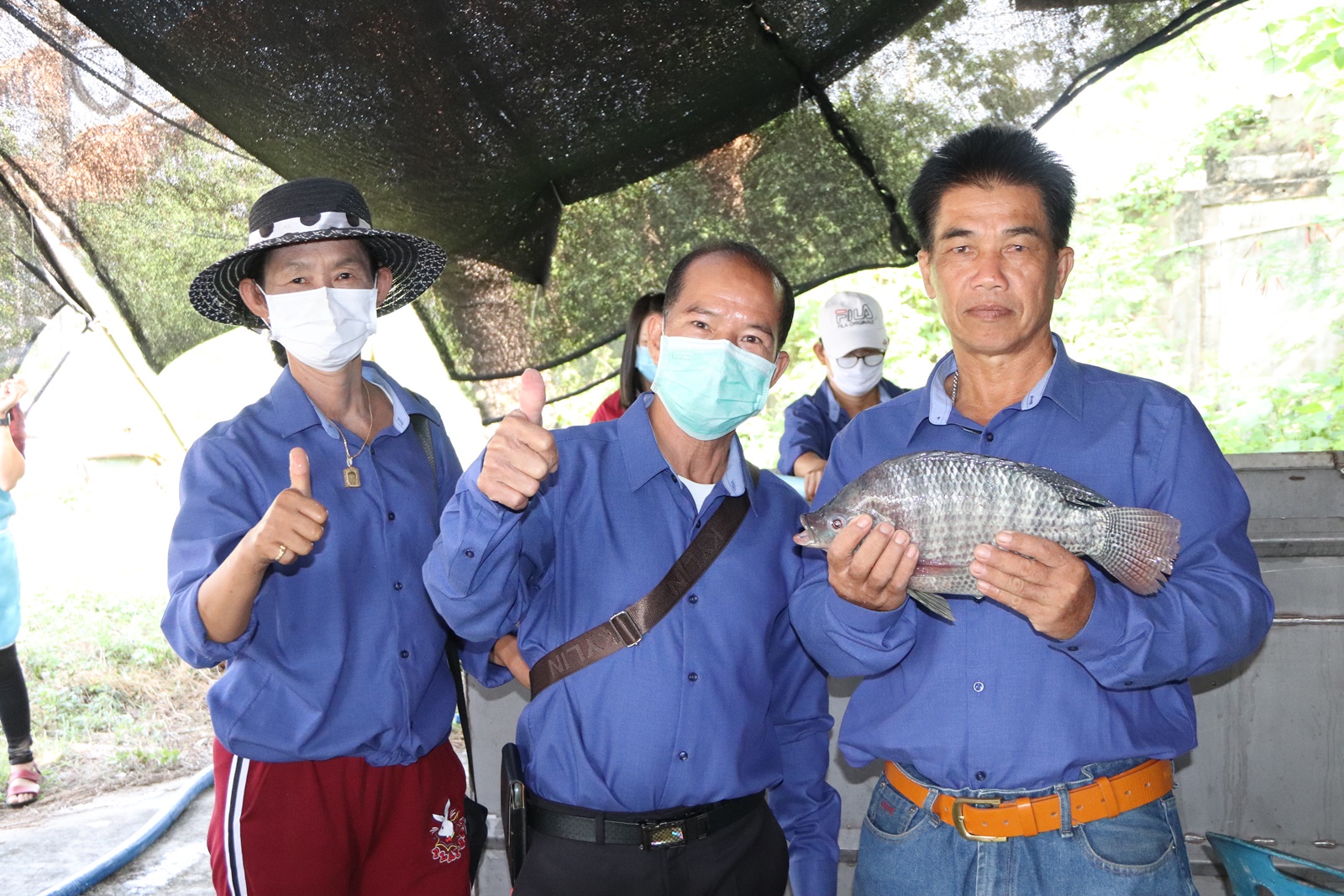 สหกรณ์เลี้ยงปลาบ้านต๊ำ ขายปลานิลราคาถูกช่วยชาวบ้าน แถมสร้างอาชีพให้คนตกงาน