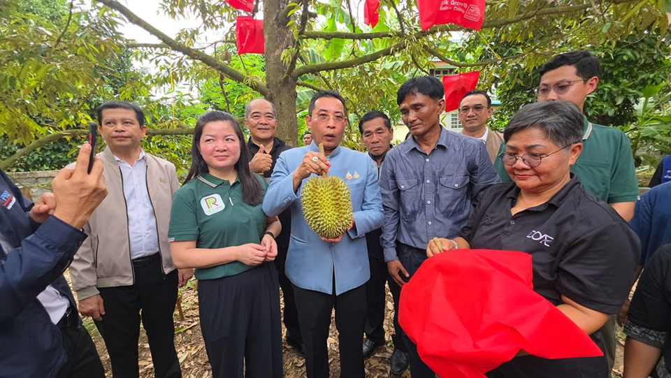 ผู้ว่าฯ ระยอง เป็นสักขีพยานซื้อขายทุเรียนหมอนทอง GI-ทุเรียนเกรดพรีเมียมถุงแดง 