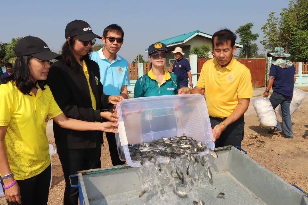 ศูนย์วิจัยฯเพาะเลี้ยงสัตว์น้ำจืดอ่างทอง ปล่อยพันธุ์สัตว์น้ำเศรษฐกิจ 6 ชนิด พื้นที่ อ.สามโก้