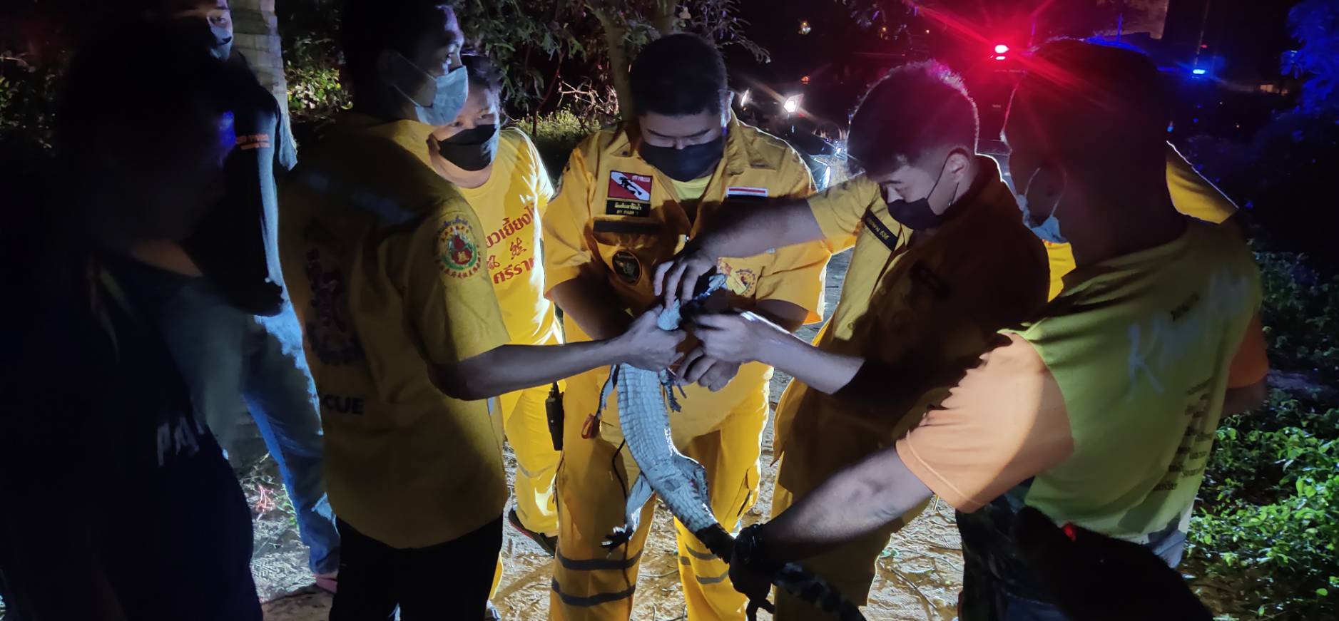 โร่แจ้งกู้ภัยฯ จับจระเข้ดุวิ่งเข้าบ้าน หวั่นเด็กไม่ปลอดภัย
