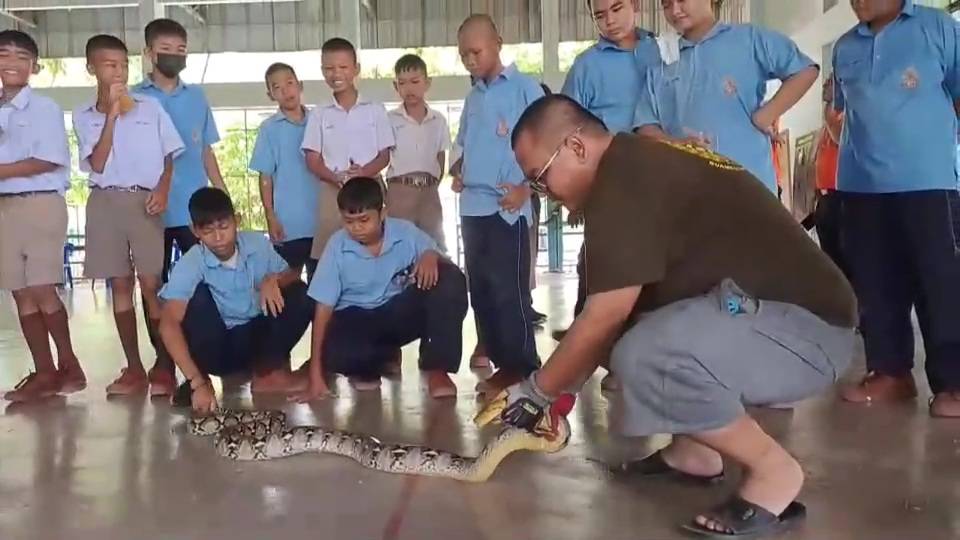 นักเรียนผวาเห็นงูเหลือมเลื้อยบนคานเหล็กอาคารเอนกประสงค์เร่งแจ้งกู้ภัยช่วยจับทันควัน