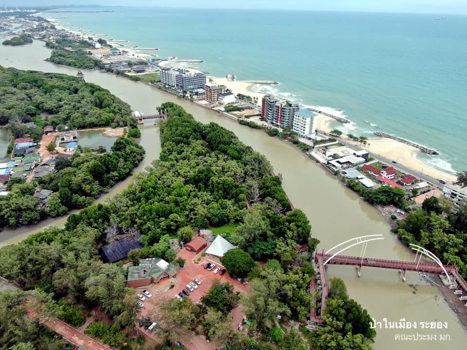 'ดร.ธรณ์' ชวนปักหมุด 'ป่าในเมืองระยอง' ชมวิวทางเดินป่าชายเลน 7 กม. คาดยาวสุดในโลก 