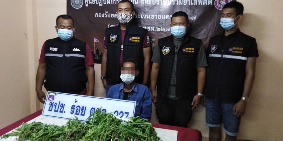 ตชด.รวบพี่เขยพันโททหารบกชื่อดังปลูกกัญชาขาย