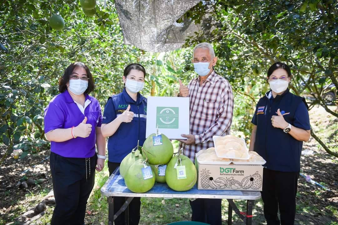 มกอช. ลุยดันสวนส้มโอ GAP สมุทรสงคราม ใช้ระบบ QR Trace on Cloud-DGTFarm.com 
