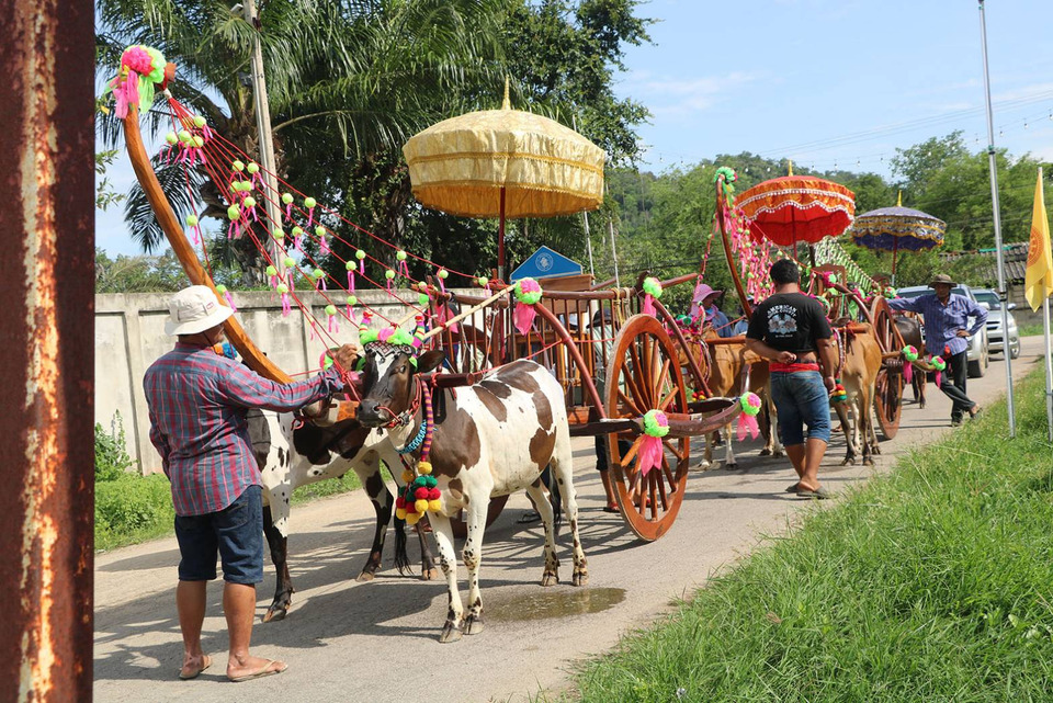 ราชบุรีคึกคัก! ชาวบ้านแห่ “ขุนเพชร–ขุนพลอย” ปลัดขิกยักษ์โบราณ ขอฝนตกต้องตามฤดูกาล 