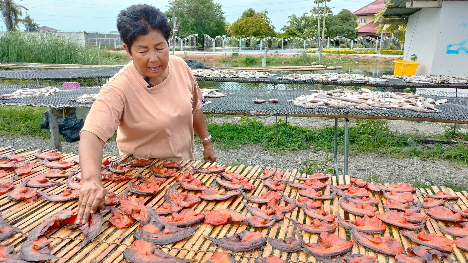 แผงปลาสลิดบางบ่อเผยยินดีรับแปรรูปปลาหมอคางดำหลังกระแสดังมีคนถามซื้อกิน