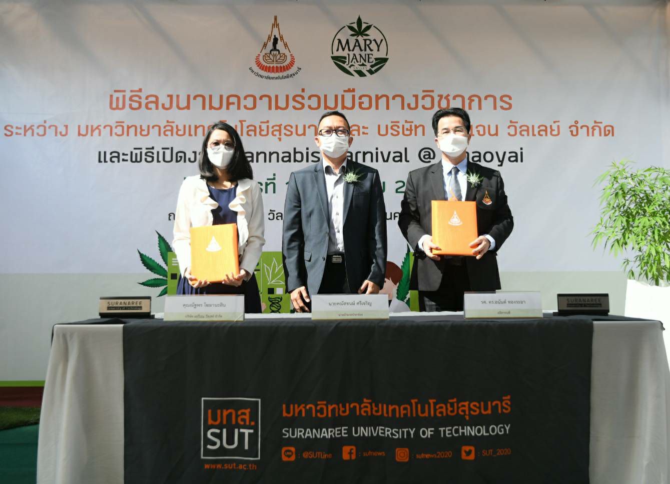 เริ่มแล้ว งานCannabis Carnival@ Khaoyai หรืองานเทศกาล กัญชา กม.13