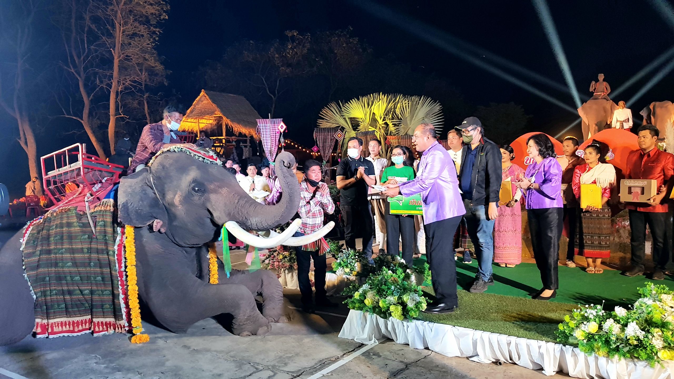 คนรักช้าง จดทะเบียนสมรส "วาเลนไทน์" ช่วยคณะช้างแสนรู้ โดนพิษโควิด