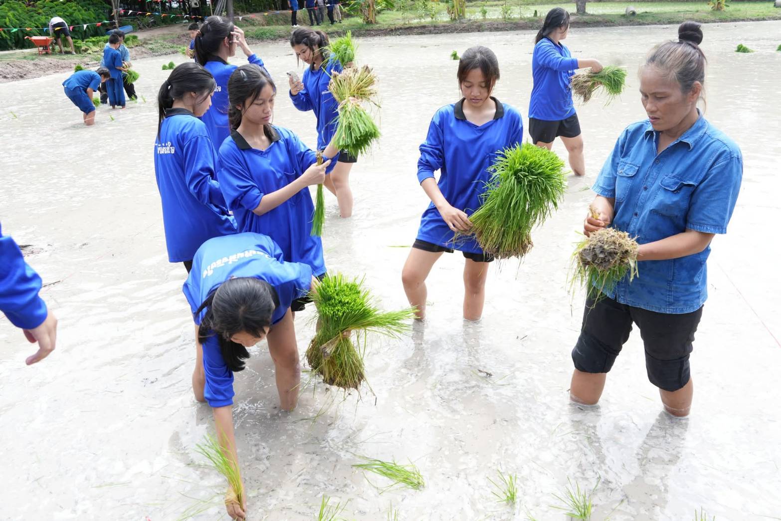 นครแหลมฉบัง ชวนเด็กไทย ปลูกข้าว สืบสานประเพณีดำนา