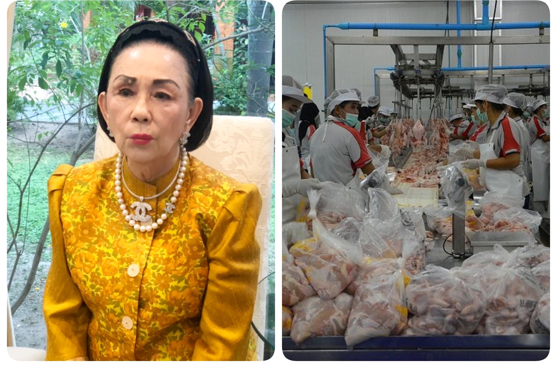 แนะรัฐลดภาษีนำเข้าวัตถุดิบอาหารสัตว์ หวังดึงราคาเนื้อหมู-ไก่ไม่ให้พุ่ง