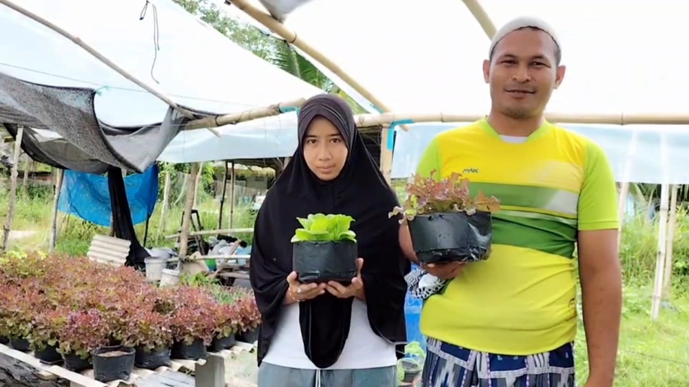 เกษตรกรเมืองสงขลา คิดต่างปลูกผักสลัดในถุงพลาสติก ใช้พื้นที่น้อย ปลูกกินได้ ปลูกขาย รายได้ดี 