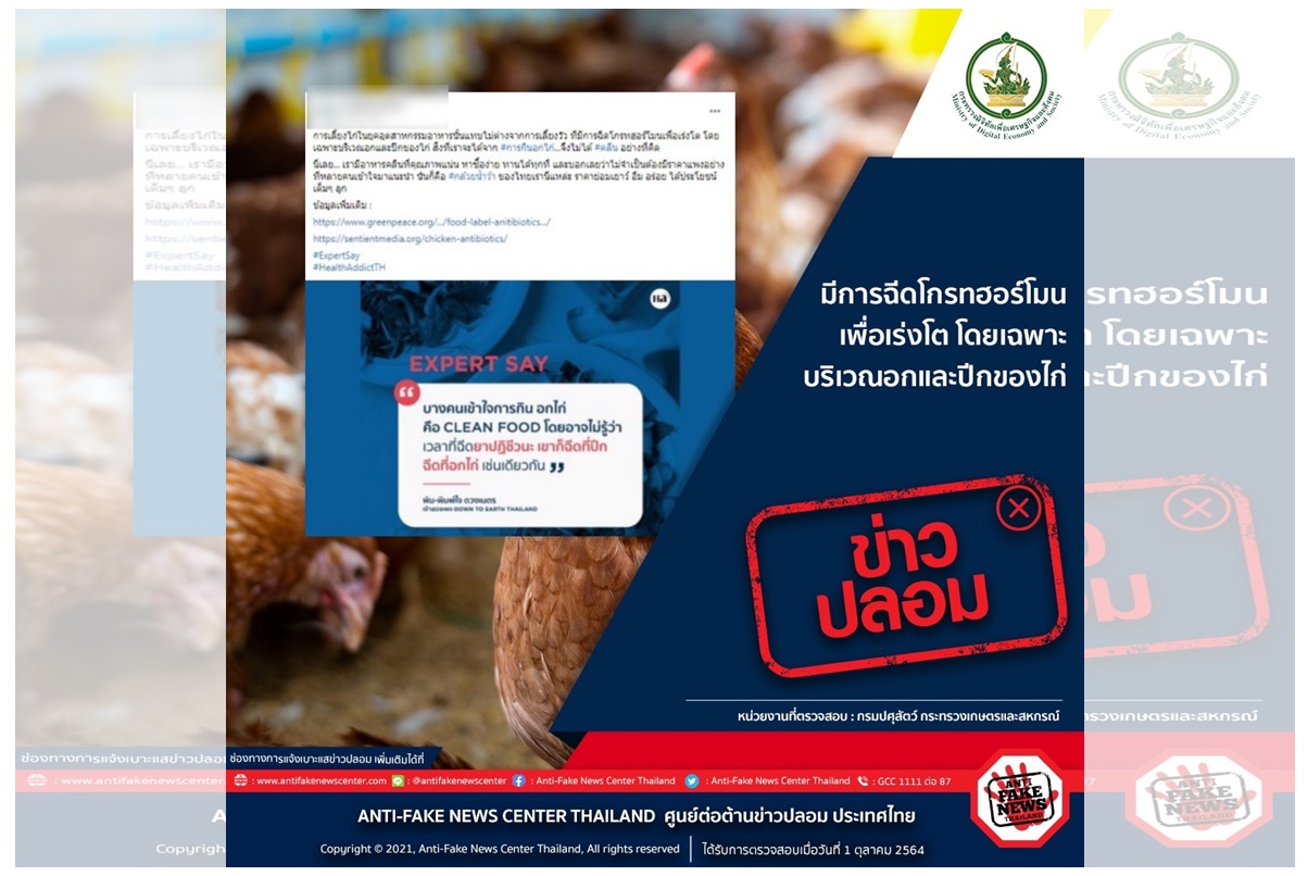 ข่าวปลอม! "ฉีดโกรทฮอร์โมนเพื่อเร่งโต โดยเฉพาะบริเวณอกและปีกของไก่"