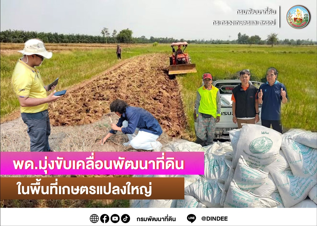 พด.ส่งเสริมพัฒนาที่ดินพื้นที่เกษตรแปลงใหญ่ ลดต้นทุน เพิ่มมูลค่าสินค้าเกษตร  