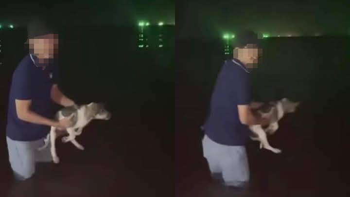 ตำรวจชุมพรคุมตัวหนุ่มเมียนมาชี้จุดโยนสุนัขลงทะเลก่อนส่งฟ้องศาลพรุ่งนี้ ตม.ลั่นพร้อมส่งกลับประเทศ