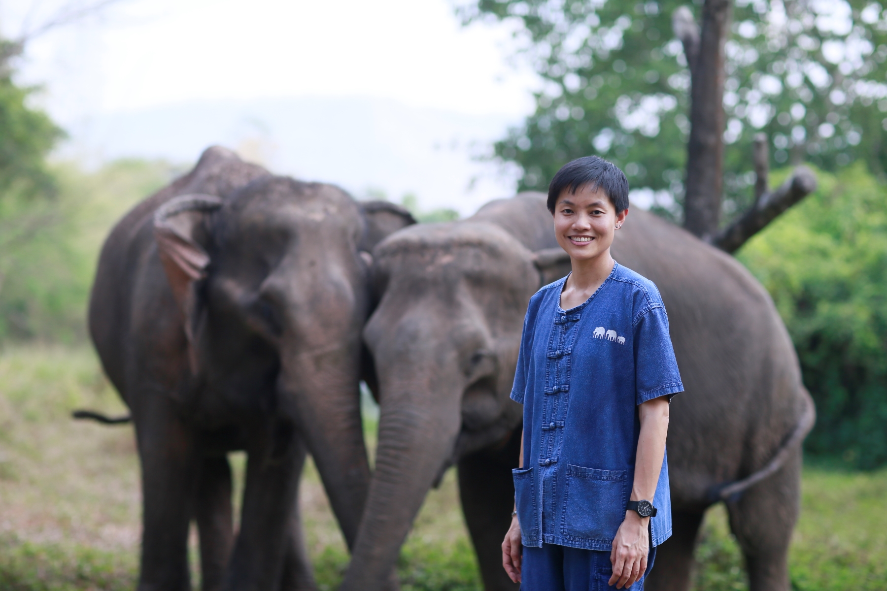 สัมผัสวิถีช้างที่ Elephant Forest พิษณุโลก กับหญิงแกร่งผู้พลิกชีวิตปางช้าง "ศิรอาภา"