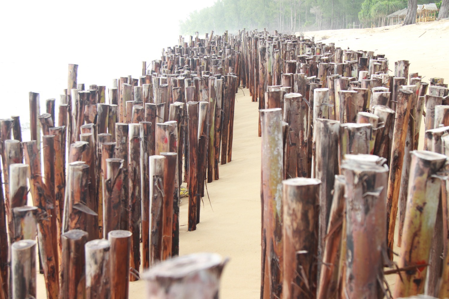 กรมอุทยานฯแก้ไขปัญหากัดเซาะชายฝั่งของอุทยานฯสิรินาถ จ.ภูเก็ต ที่หาดทรายแก้ว คืบหน้าแล้ว 80 % เตรียมเดินหน้าเฟส 2 ทันที  