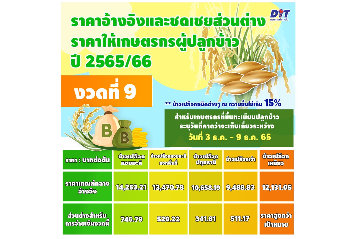 พาณิชย์เคาะประกันรายได้ข้าว งวดที่ 9 ราคาดีทุกชนิด รอรับเงินโอนไม่เกิน 15 ธ.ค.นี้