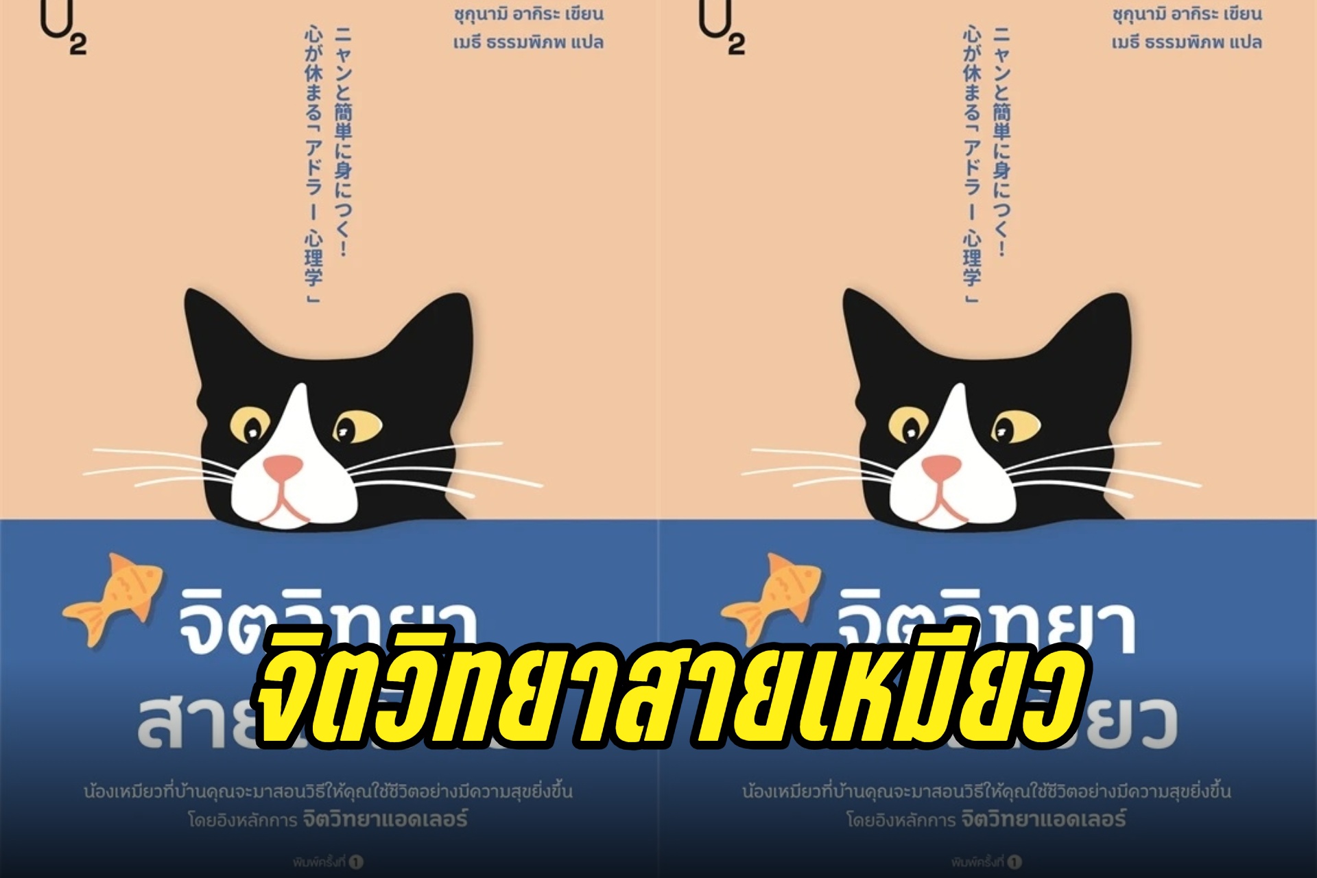 จิตวิทยาสายเหมียว “ไม่ต้องพยายามขนาดนั้น ลองสมมติว่าตัวเองเป็นแมว นอนเกลือกกลิ้งบ้างก็ได้...”