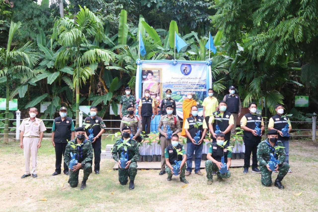 ศป.บส.ชน.นำทีม ปลูกป่าเฉลิมพระเกียรติ สมเด็จพระบรมราชชนนีพันปีหลวง พื้นที่ไชยปราการ เชียงใหม่