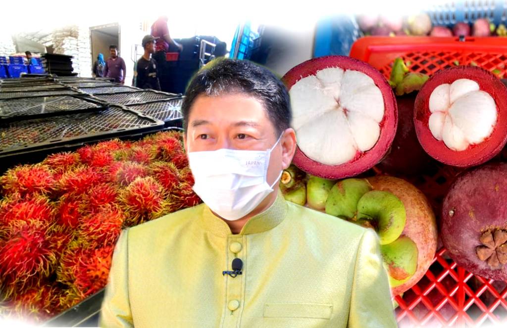 ปั้น "เครือข่ายสหกรณ์" ยกระดับทำธุรกิจค้าขายสินค้าเกษตรระดับพรีเมี่ยม จากสหกรณ์สู่ผู้บริโภค