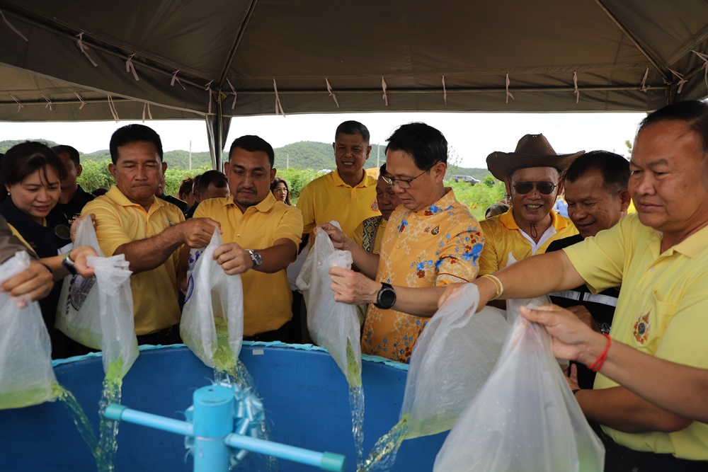 พ่อเมืองกาญจน์ นำ ปชช.ชาวบ่อพลอย ปล่อยพันธุ์สัตว์น้ำ เนื่องในวันประมงแห่งชาติ