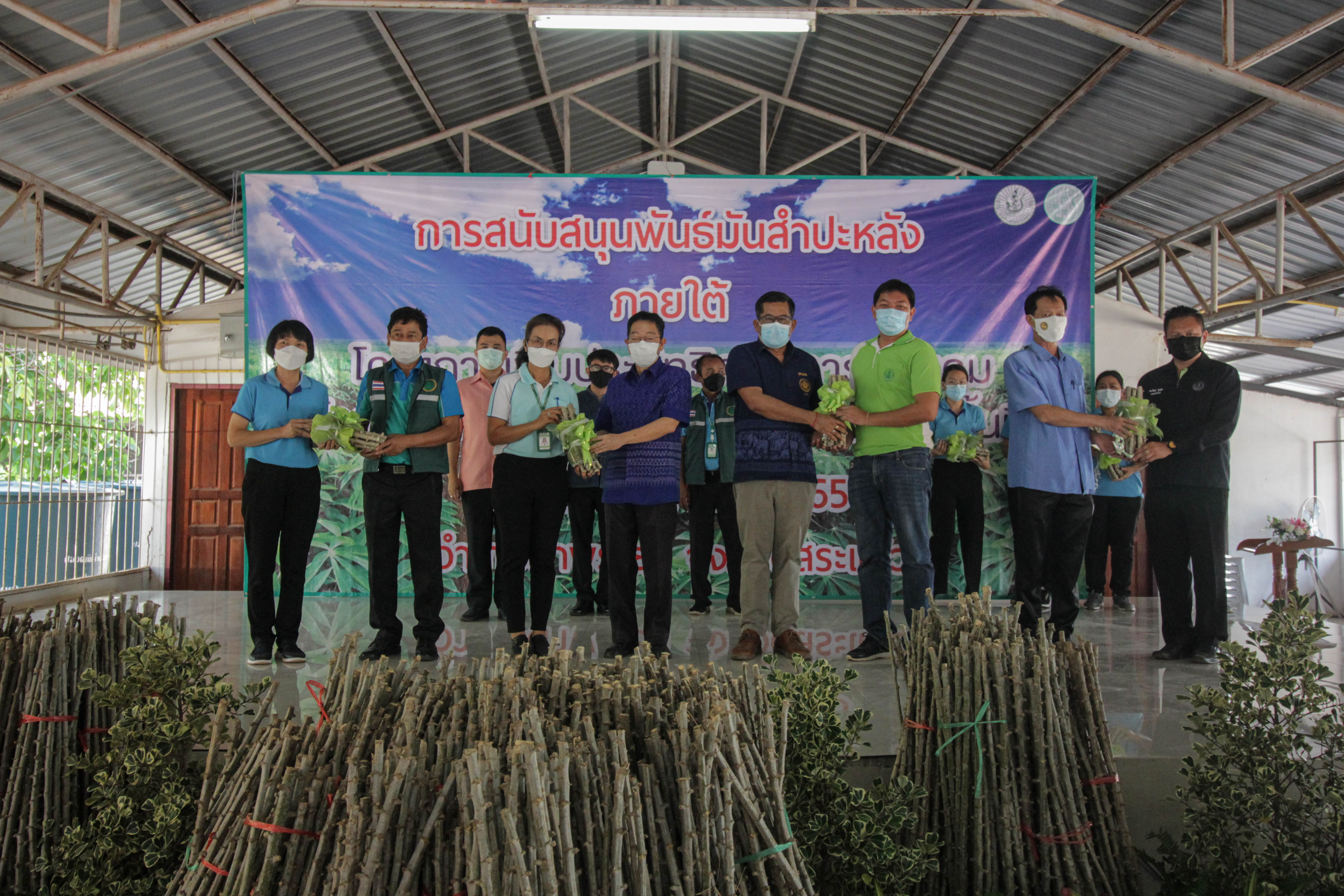 สระแก้วส่งเสริมการเพิ่มประสิทธิภาพควบคุมโรคใบด่างมันสำปะหลัง