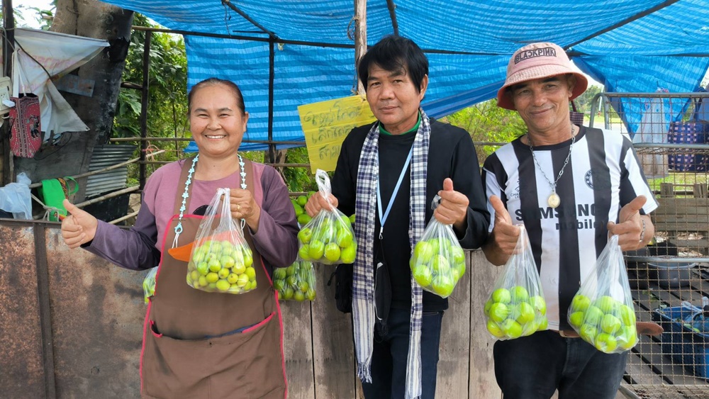 เกษตรกรยโสธร ปลูกพุทราขายสร้างรายได้ปีละ 4.8 แสนบาท