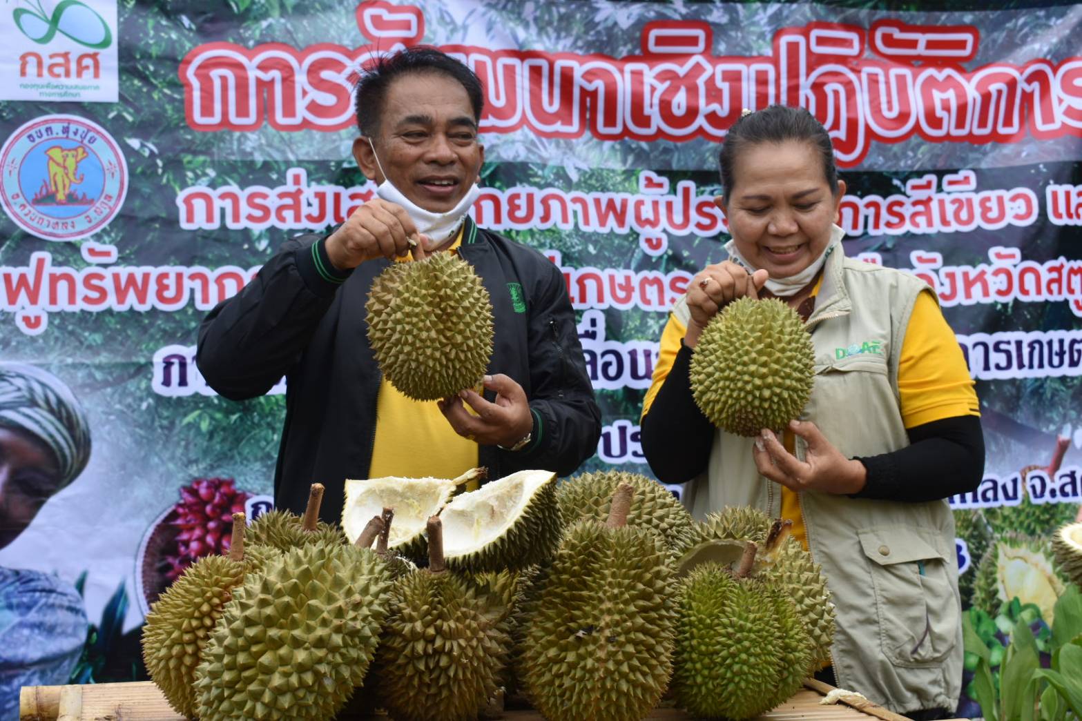  บุฟเฟต์ทุเรียน-ผลไม้พื้นบ้านจากดินแดนบ่อน้ำร้อนแหล่งปลูกที่มีแร่ธาตุอุดมสมบูรณ์ที่สุดของจ.สตูล