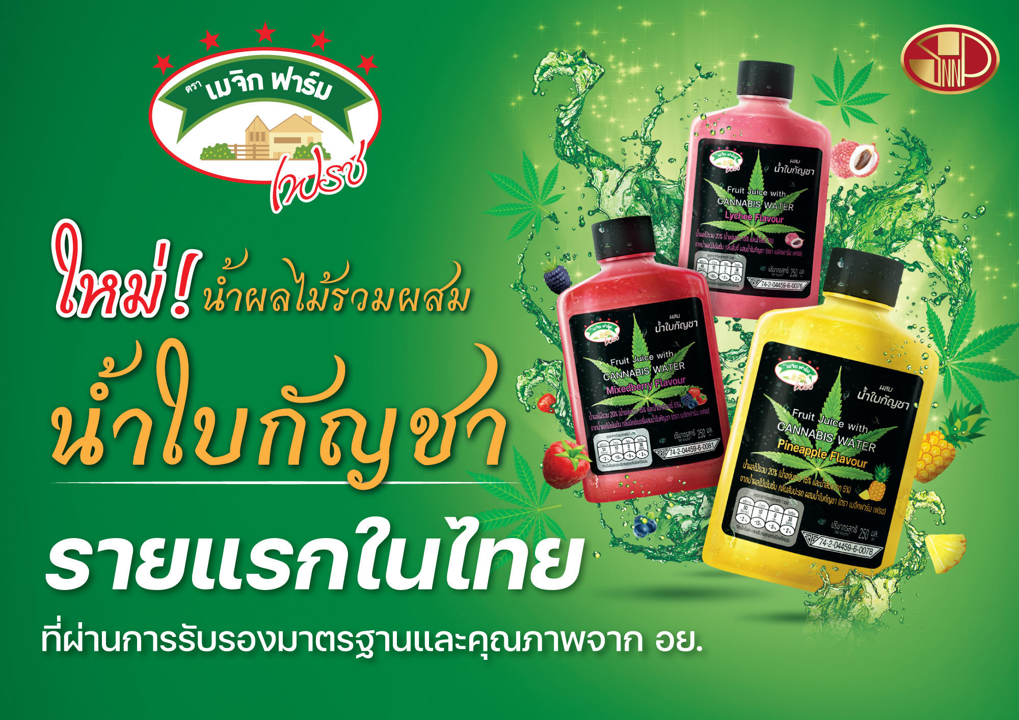 “SNNP” เขย่าตลาดเครื่องดื่ม ส่ง “เมจิก ฟาร์ม เฟรช น้ำผลไม้รวมผสมน้ำใบกัญชา”  ดับกระหายรับซัมเมอร์