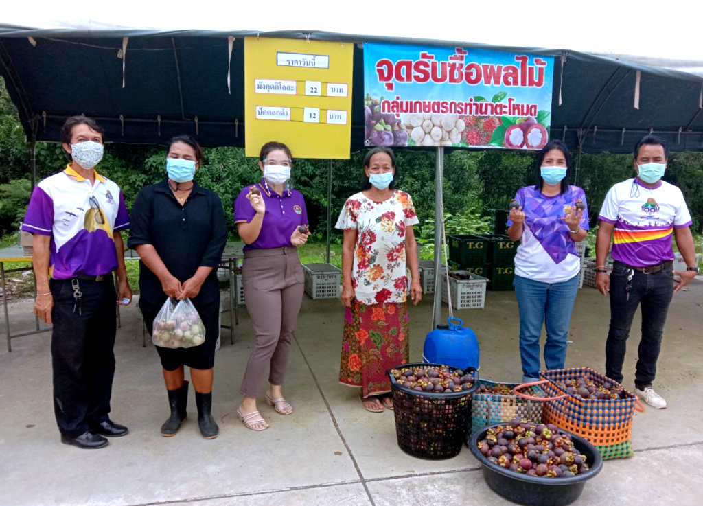 ขบวนการสหกรณ์พัทลุง เชื่อมโยงสินค้า รวบรวมมังคุดสมาชิก แลกข้าวสารสหกรณ์อีสาน