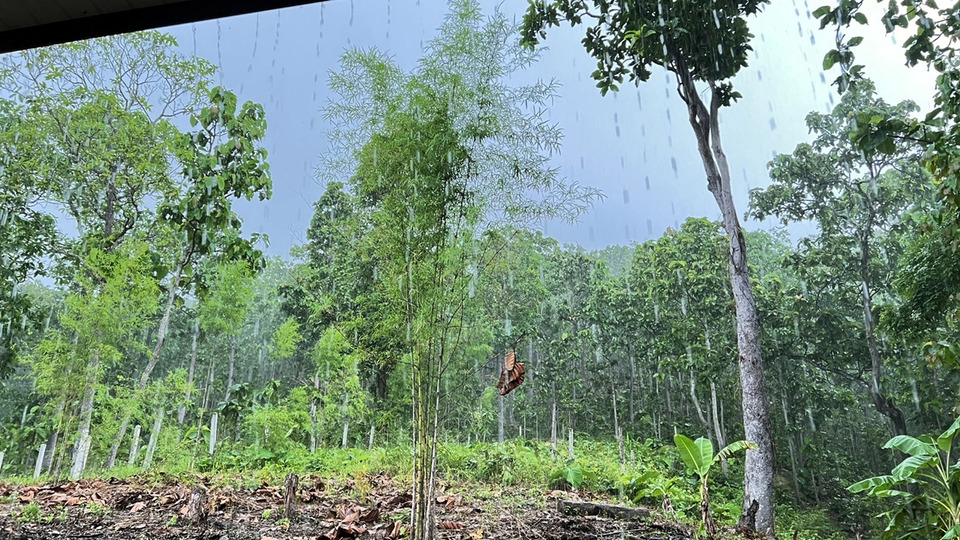 แม่ฮ่องสอนเตือนฝนถล่ม 28 มิ.ย.-3 ก.ค. เสี่ยงน้ำท่วมฉับพลัน-ดินโคลนถล่ม