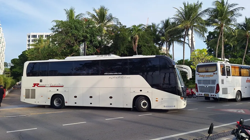 S  26566669
