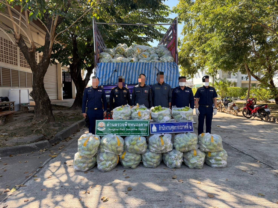 ศุลกากรภาค 2 สกัด! ยึดมะม่วงเถื่อน 13 ตัน ลอบนำเข้าข้ามแดน มูลค่าเกินครึ่งล้าน