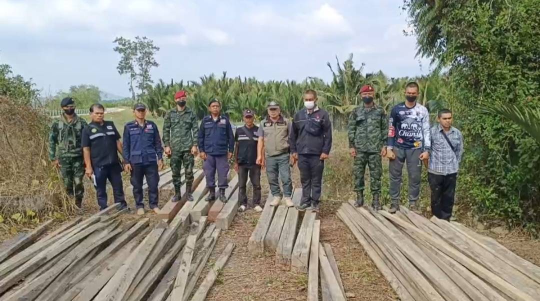 ระนอง ตรวจยึดไม้เถื่อน แปรรูปน้ำเข้าฝั่งไทย