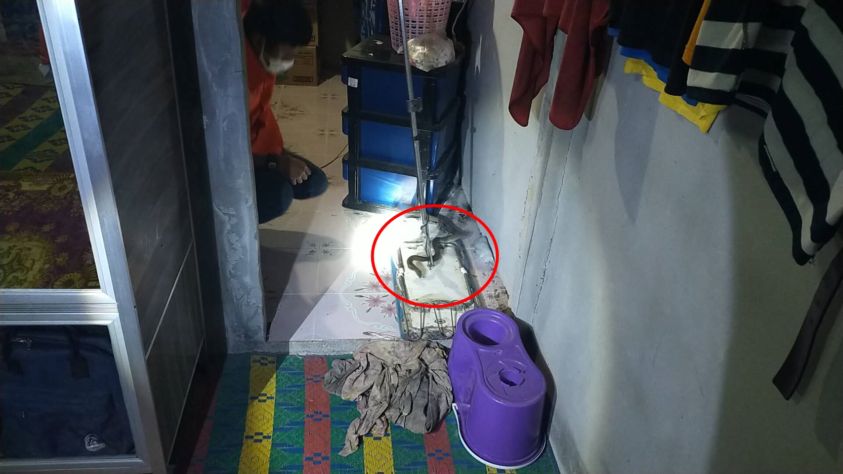 แห่ตีเลขหวย"ลูกงูจงอาง"บุกห้องนอน