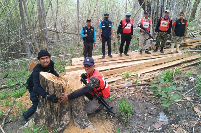รวบขบวนการตัดไม้ในป่าสงวน พบไม้สักทองอายุ 100 ปี เหลือแต่ตอนับร้อยต้น ฉวยโอกาสเคอร์ฟิว