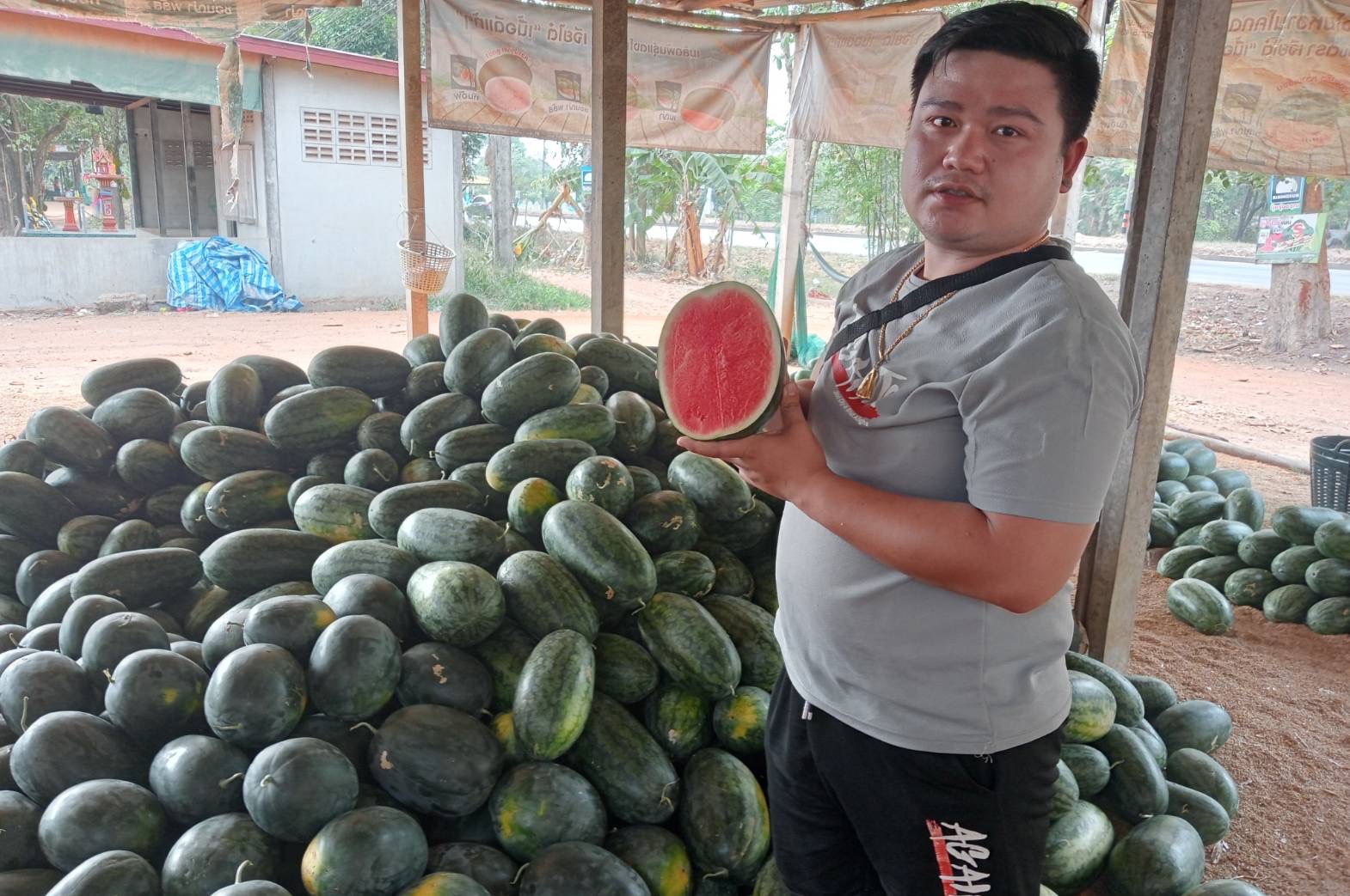 กาฬสินธุ์ ตลาดแตงโมสงกรานต์คึกคัก เงินสะพัดวันละ 5 ล้าน