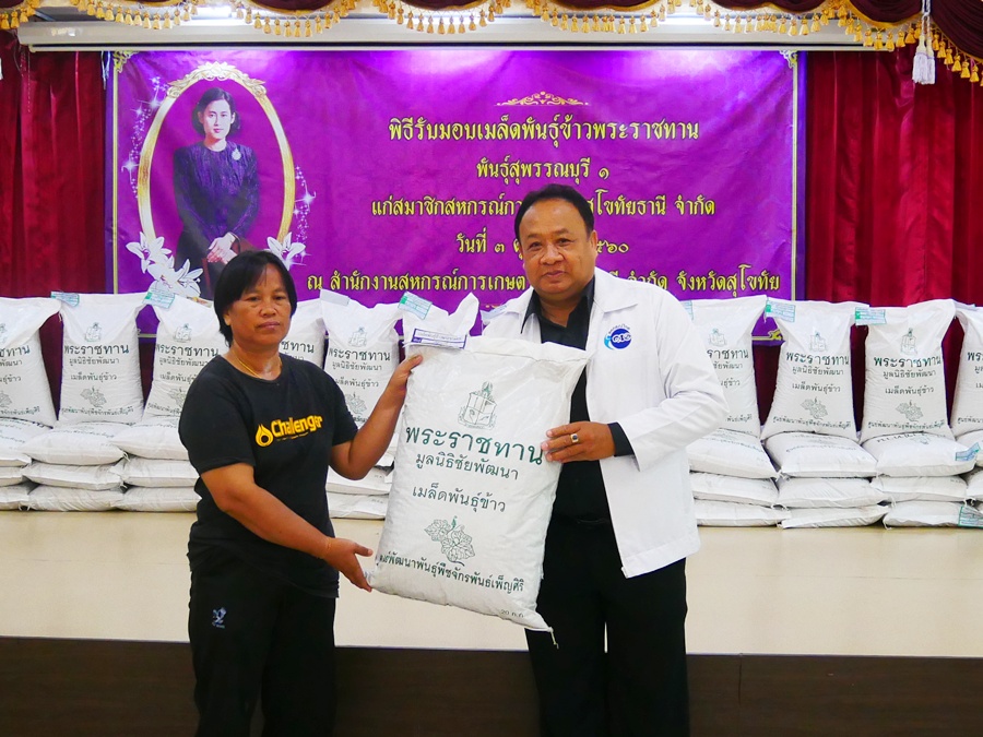 สหกรณ์การเกษตรสุโขทัยธานี จำกัด มอบพันธุ์ข้าวพระราชทาน ช่วยสมาชิกสหกรณ์ผู้ประสบภัยน้ำท่วม