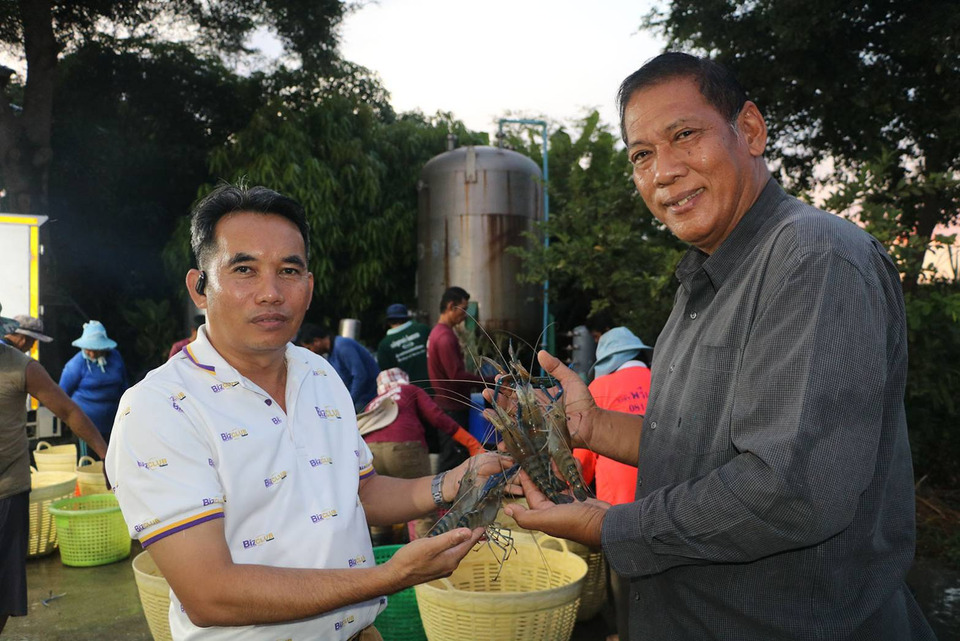 เกษตรกรเลี้ยงกุ้งรับข่าวดี จีนสั่งซื้อกุ้งก้ามกรามล็อตใหญ่ 48 ตัน