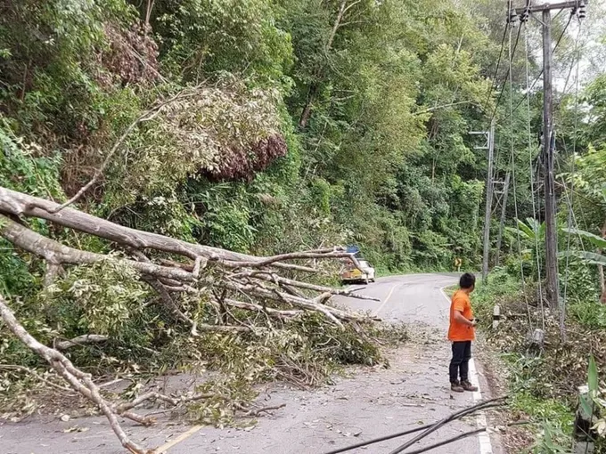 ฝนตกลมแรง​ ต้นไม้ล้มพาดสายไฟ​ เสาไฟฟ้าหักโค่นกีดขวางทับเส้นทางจราจร