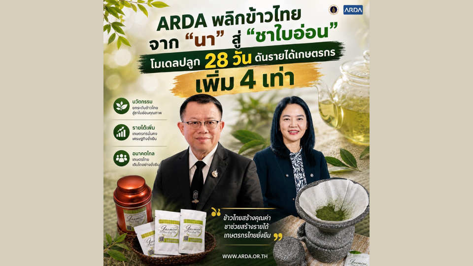 ARDA พลิกข้าวไทย จาก “นา” สู่ “ชา”เปิดโมเดลเพิ่มมูลค่าใบอ่อนข้าวหอมมะลิ 105