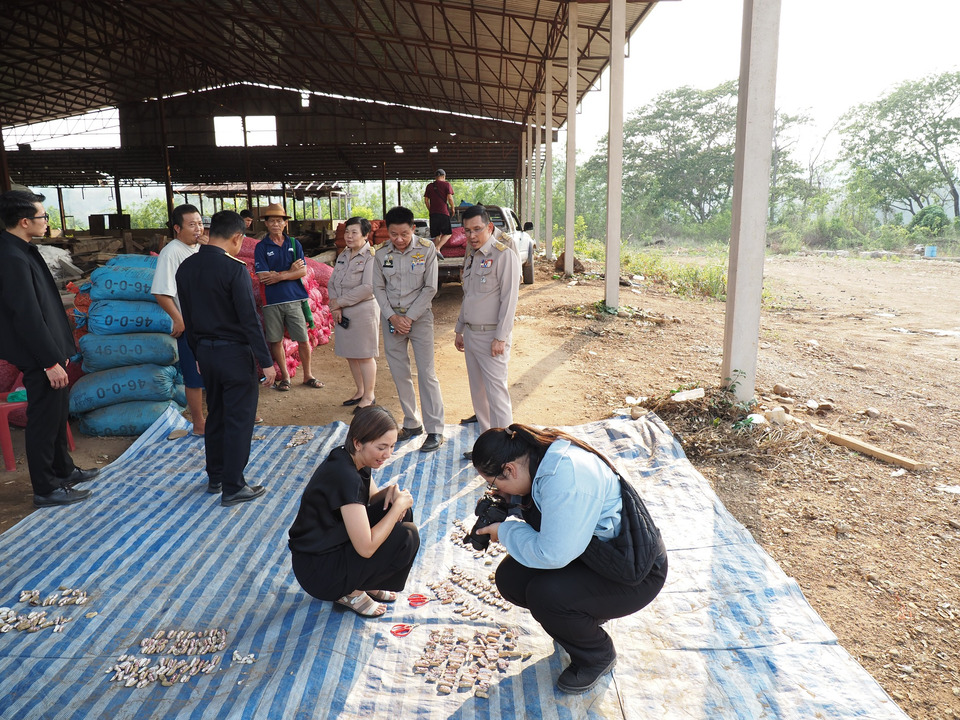 ผู้ว่าฯ แม่ฮ่องสอน ลงพื้นที่แก้ปัญหาถั่วลายเสือ รับซื้อไม่เป็นธรรม แนะเกษตรกรคัดคุณภาพก่อนขาย