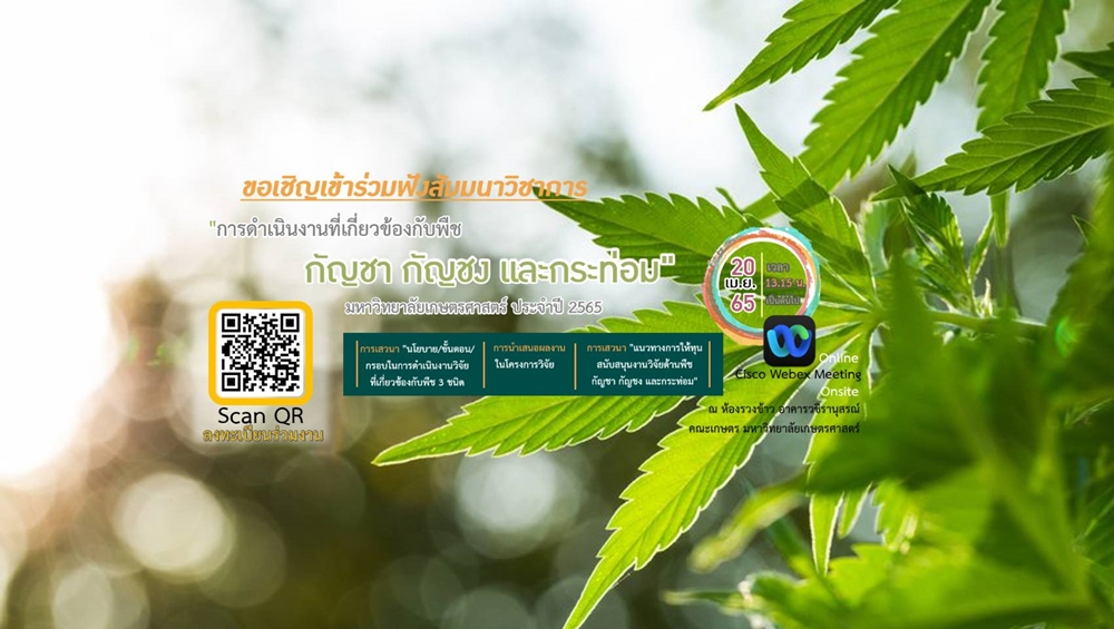 อย่าพลาด! คณะเกษตร มก. ชวนฟังสัมมนาวิชาการ "การดำเนินงานที่เกี่ยวข้อง กับพืชกัญชา กัญชง และกระท่อม  มหาวิทยาลัยเกษตรศาสตร์  ประจำปี พ.ศ.2565" 
