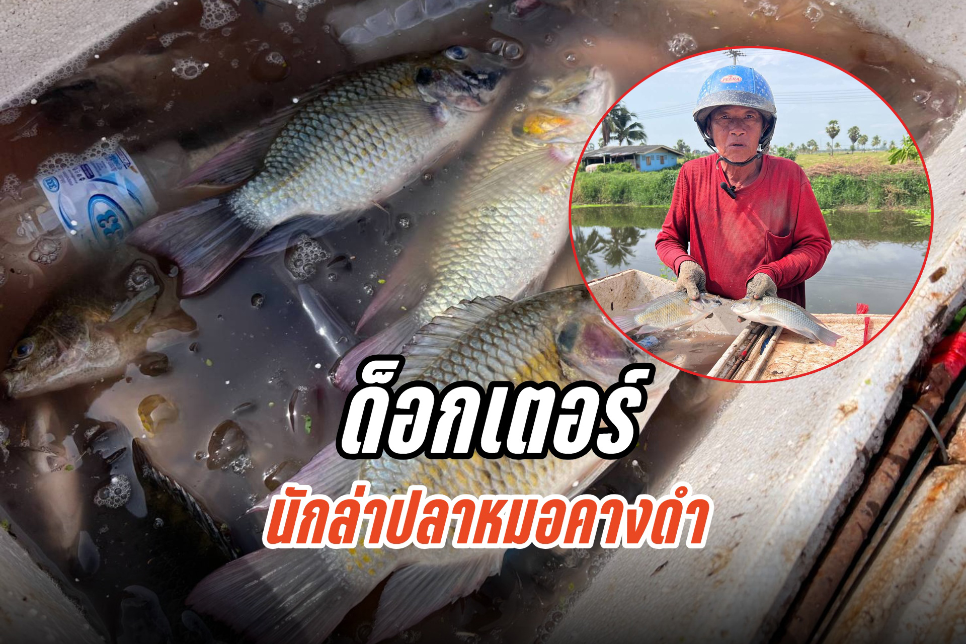 ด็อกเตอร์นักล่าปลาหมอคางดำ