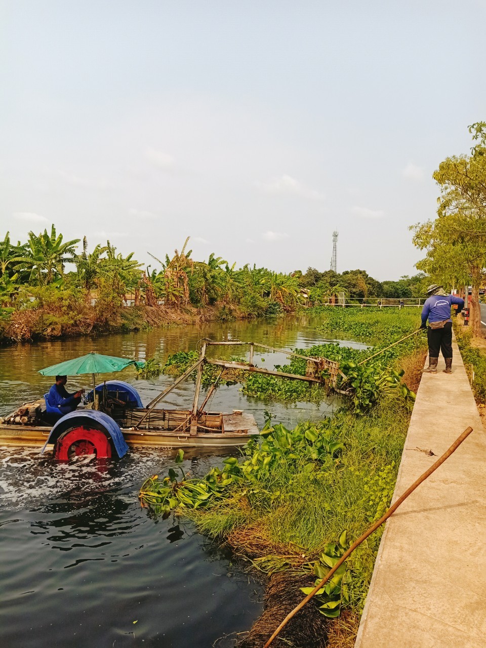 โครงการส่งน้ำฯภาษีเจริญ เดินหน้ากำจัดวัชพืชคลองสี่วาพาสวัสดิ์ 